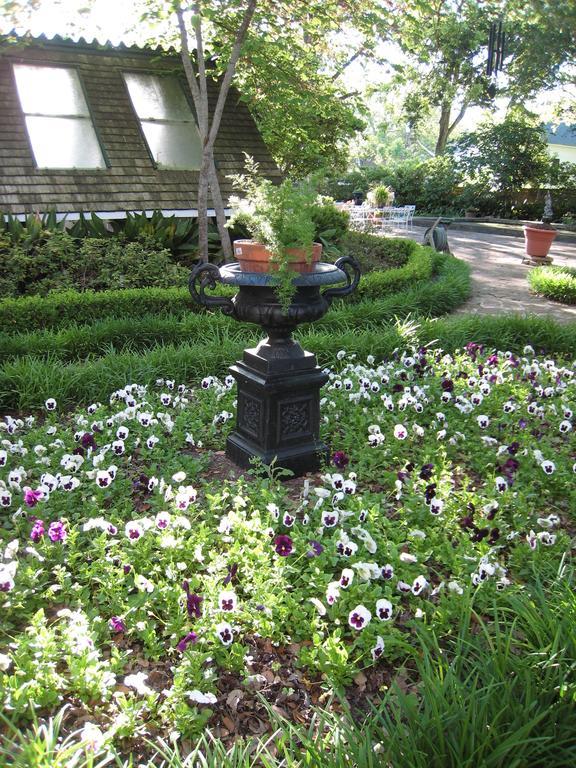 Belle Oaks Inn Gonzales エクステリア 写真